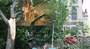 Sichern und Ausbessern von Sturmschäden